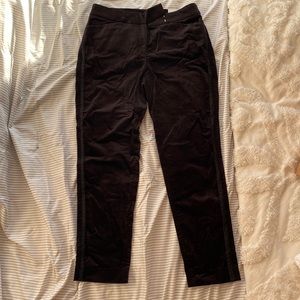 Black velvet White House black market pants